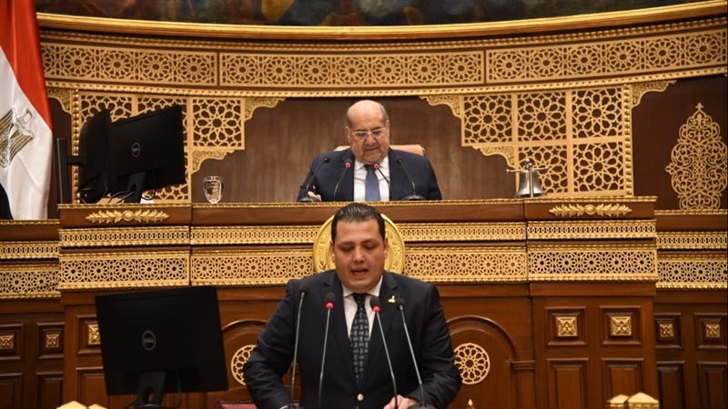 مجلس الشيوخ يناقش