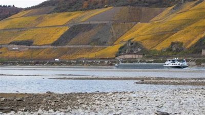 الجفاف يضرب نهر الراين في ألمانيا