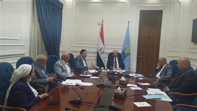 محافظ القاهرة: إجراءات رادعة للتأكد من جودة السلع وعدم المغالاة في الأسعار