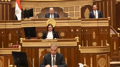 وكيل الشيوخ: نحتاج لتعظيم مشاركة المصريين بالخارج في التنمية