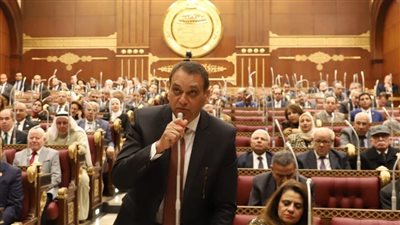 الحكومة تدافع عن قانون تيسير استيراد سيارات المصريين بالخارج بدون جمارك 