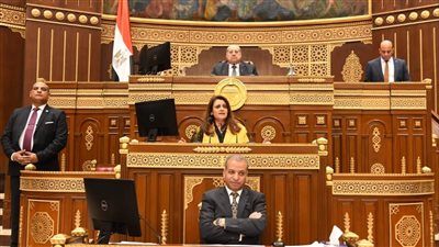 وزيرة الهجرة للمصريين بالخارج: اللي بعيد عن العين مش بعيد عن القلب