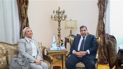 رئيس مجلس الدولة: قضايا البيئة تظل قاصرة وغير مواكبة للتقدم التكنولوجى الهائل