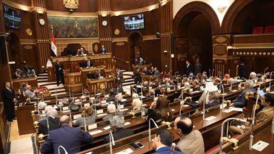 الشيوخ يحيل طلب دعم المصريين بالخارج للجان المختصة.. ورفع الجلسات لـ 26 مارس 