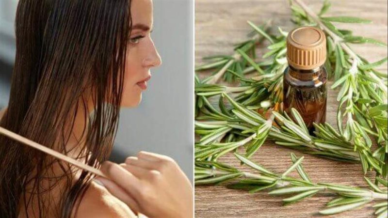 زيت الروزماري للشعر،