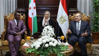 رئيس الشيوخ لنظيره البوروندي: نريد ملء سد النهضة في إطار قانوني