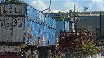 الدلتا للسكر: نستهدف إنتاج 330 ألف طن سكر في موسم بنجر السكر الجديد 