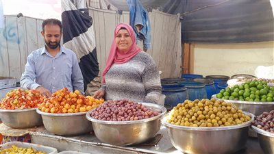 أم رائد بائعة المخللات الأشهر في شوارع الغربية (فيديو وصور)