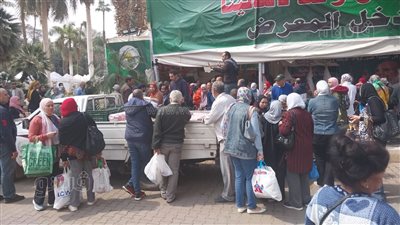 زحام المواطنين على الأرز بمعرض وزارة الزراعة بالأورمان (فيديو)