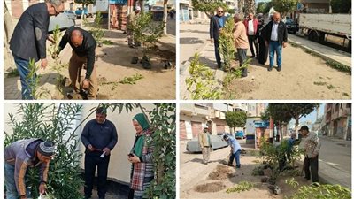 زراعة 12 ألفا و300 شجرة مثمرة بالمحمودية (صور)