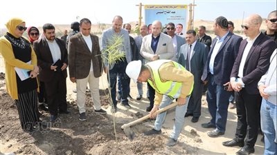 محافظ بني سويف يتفقد أعمال زاعة الأشجار المثمرة على الطرق والمحاور