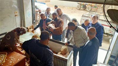 إحالة 48 محضرا بالمخالفات والتحفظ علي دقيق بلدي مدعم قبل تهريبه في حملات بالدقهلية 