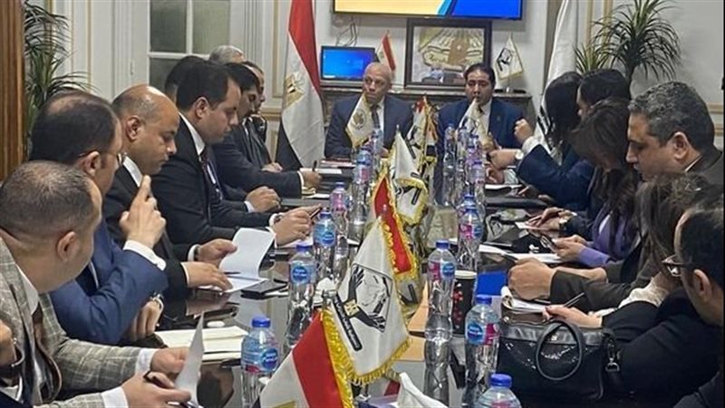 هيئة تنمية الصعيد،فيتو