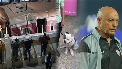 أخبار مصر: ارتفاع عدد ضحايا حادث قطار قليوب، أول ظهور لكلب المذيعة يثير غضب البيطريين، وفيريرا مندهش من الفوز على الترجي