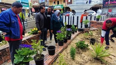 تطوير وتجميل ميدان النافورة بالسنطة في الغربية (صور)