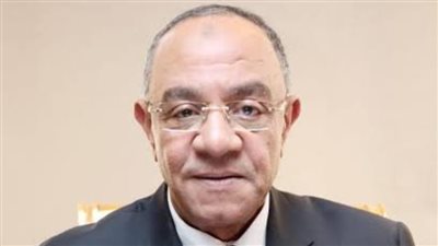 رئيس تجارية الجيزة: المشروعات الصغيرة الأكثر قدرة على توفير فرص عمل