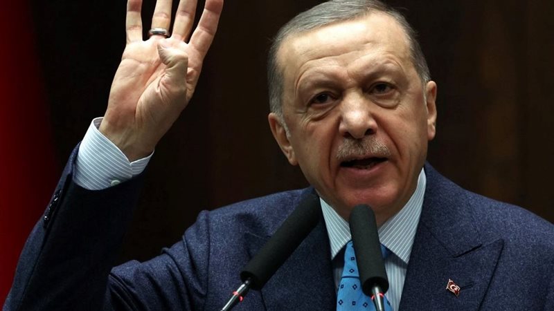 الرئيس أردوغان، فيتو
