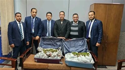 ضبط 28 كيلو مخدرات بحوزة راكب في مطار الغردقة 