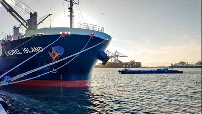 تداول 31 سفينة بضائع متنوعة بميناء دمياط 