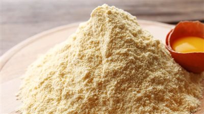 الحكومة تكشف حقيقة طرح بيض بودرة في الأسواق 