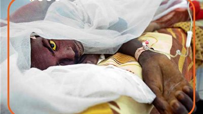 غضب المناخ على سكان الأرض، ارتفاع وتيرة تفشي حمى الضنك خلال العام الجاري.. والصحة العالمية تدق ناقوس الخطر