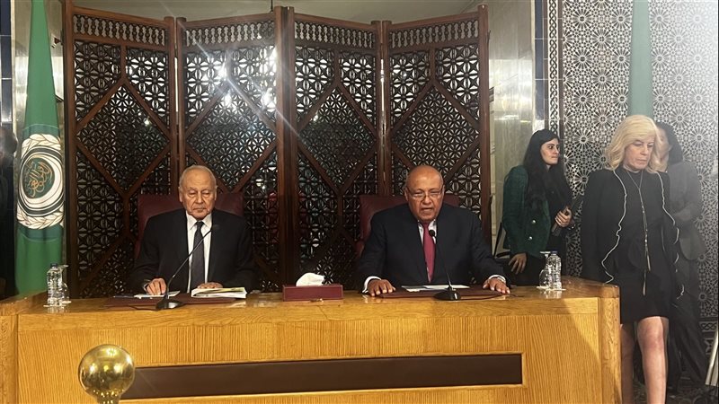 شكرى وأبو الغيط،