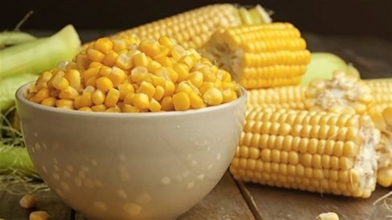 الذرة الصفراء،فيتو