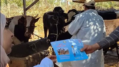 انطلاق الحملة القومية لتحصين الماشية ضد مرض الحمى القلاعية بدمياط