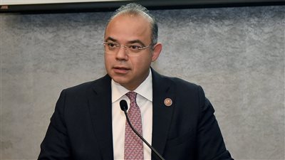 تفاصيل إطلاق الرقابة المالية وثيقة معاش بالدولار للمصريين بالخارج