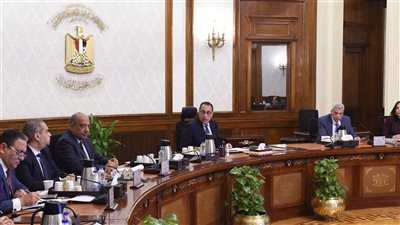 رئيس الوزراء يتابع الموقف التنفيذي لخطط تطوير شركات إنتاج الأدوية التابعة لوزارة قطاع الأعمال