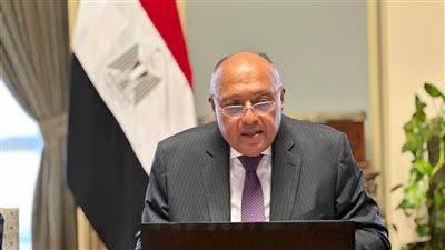 وزير الخارجية يترأس اجتماعا افتراضيا لهيئة مكتب مؤتمر المناخ COP27