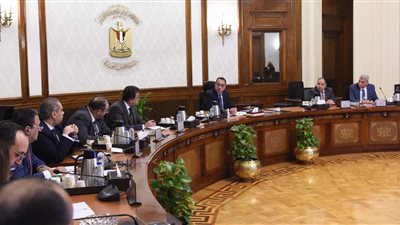 رئيس الوزراء يناقش سبل تيسير إجراءات تراخيص مصانع الأدوية والمستلزمات الطبية