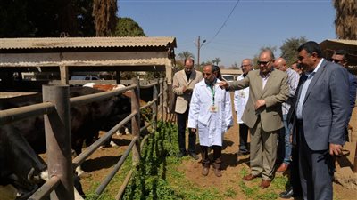 محافظ أسيوط يتابع حملة التحصين ضد الحمى القلاعية وحمى الوادي المتصدع 