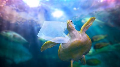 4.9 مليون طن من النفايات البلاستيكية تطفو في المحيطات