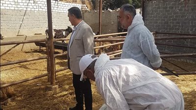 مدير الطب البيطري بالإسماعيلية يتابع أعمال لجان التحصين (صور) 