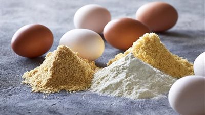 الغرفة التجارية: تجفيف كيلو من البيض البودرة يحتاج إلى 316 بيضة