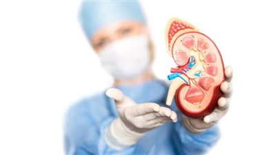  ما هي تكيسات الكلي، ومتى تتطور إلى فشل كلوي؟ طبيب يجيب (فيديو)