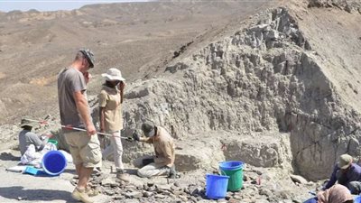 اكتشاف عمره 3 ملايين عام يعيد كتابة تاريخ الحياة الذكية على الأرض