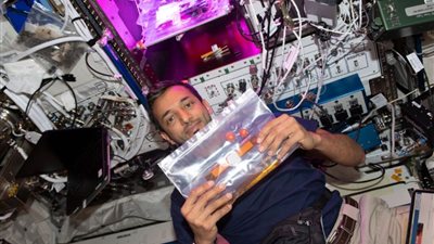 سلطان النيادي يكشف كواليس زراعة الطماطم فى الفضاء (صور)