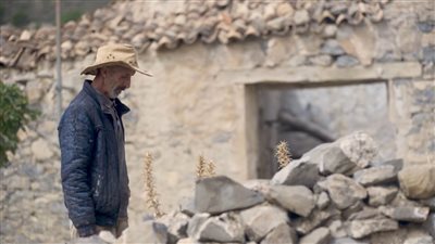 16 فيلمًا عربيًا تشارك في فعاليات الدورة الـ24 لمهرجان الإسماعيلية