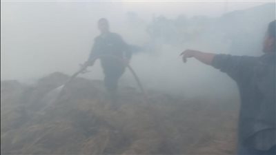 الحماية المدنية تسيطر على  حريق اندلع بحظيرة مواش بالتل الكبير (صور)