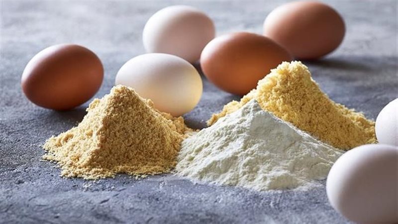 بودرة البيض، فيتو