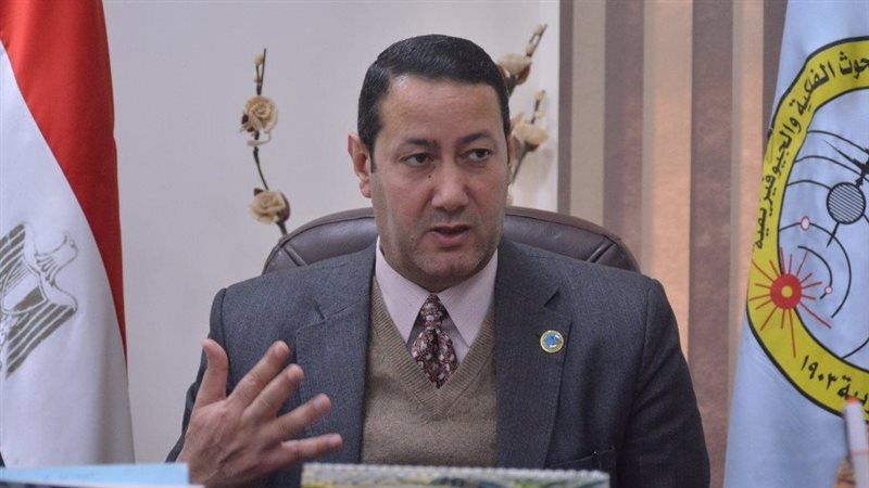 الدكتور جاد القاضى،