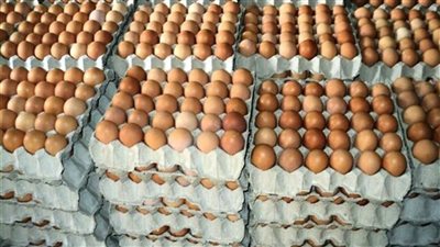 أخبار الاقتصاد اليوم: البنوك المصرية ليس لها ودائع في 