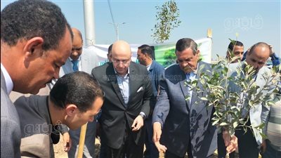 وزير التنمية المحلية ومحافظ بني سويف يتفقدان المبادرة الرئاسية للتشجير