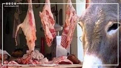 8 مخاطر صحية عند أكل لحم الخيول والحمير (انفوجراف)