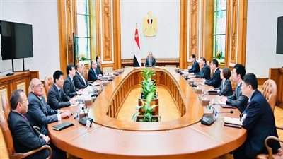نشاط الرئيس اليوم.. السيسي يستقبل رئيس مجموعة الصين الدولية للطاقة ويتابع تطوير مدينة دمياط للأثاث (فيديو)