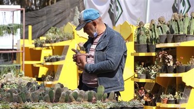 أستاذ فلك يكشف عن موعد ما يسمى بالاعتدال الربيعي 