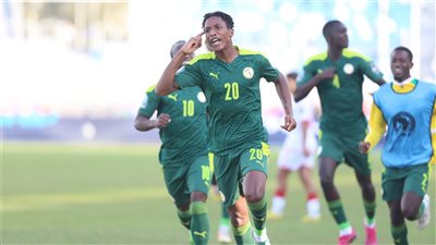 أمم أفريقيا للناشئين، منتخب السنغال يفوز على الكونغو 0/1