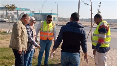 انطلاق حملات تشجير ونظافة الوليدية وقناطر أسيوط الجديدة 